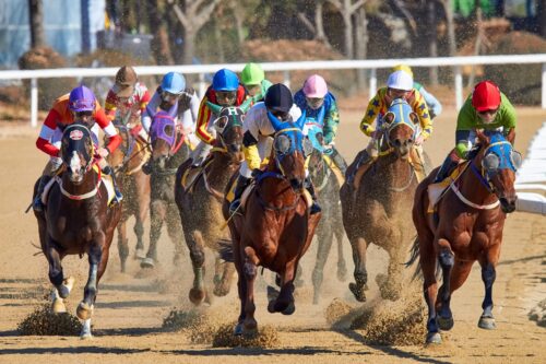 Are you backing the right horse?