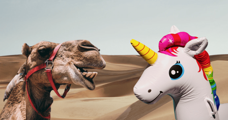 Unicorn - Hunt camels rather than unicorns