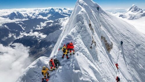 Scaling vertical market software businesses