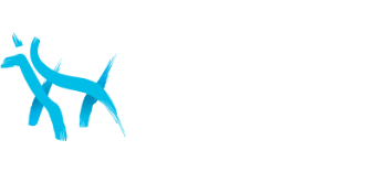 Animal Physio