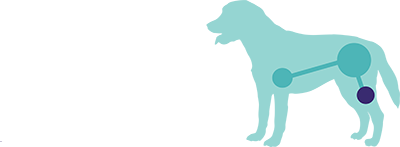Animal Orthopaedics